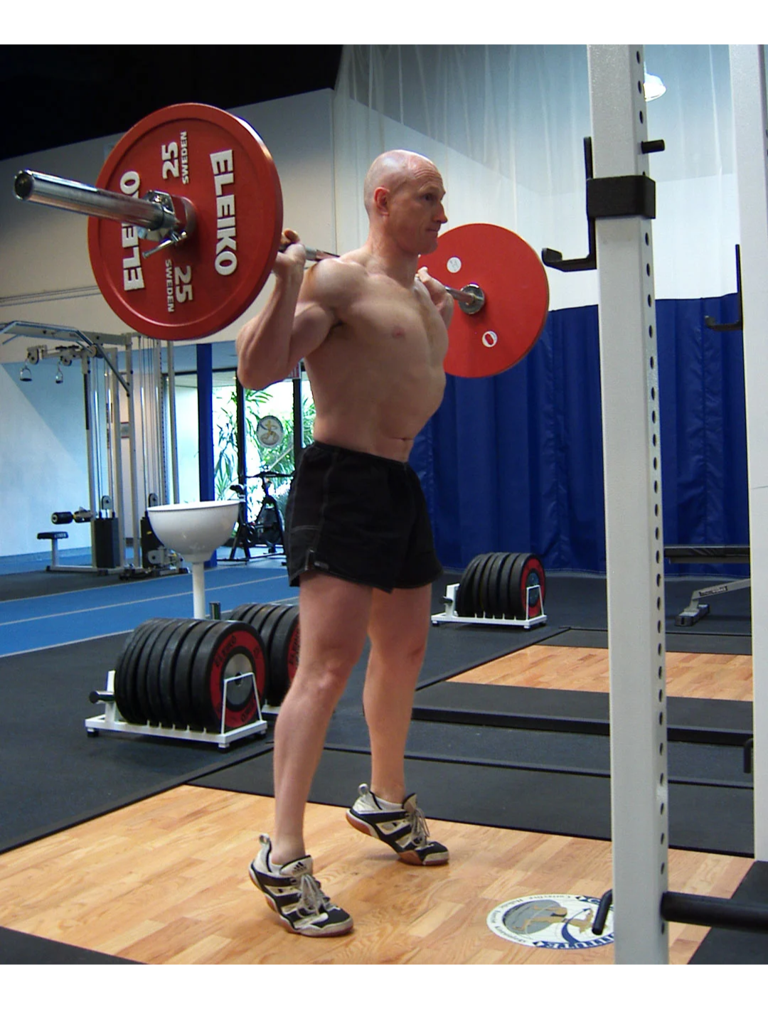 Wrist Straps and Weight Lifting Concerns! » Paul Chek's Blog